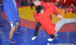 桑搏技能爆料最新,实战技巧与策略深度解析