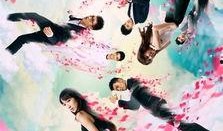 王传军爆料陈赫视频大全